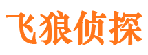 凉山市侦探调查公司